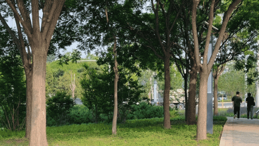 科创之星 闲置空地变身！海淀这里，又多一个街角公园——