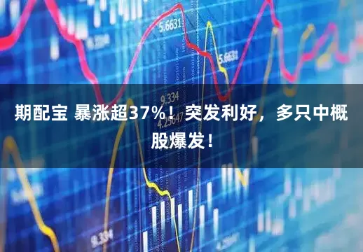 期配宝 暴涨超37%！突发利好，多只中概股爆发！