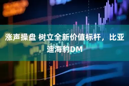 涨声操盘 树立全新价值标杆，比亚迪海豹DM